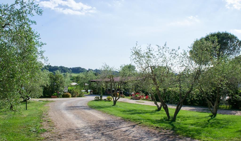 Гостевой дом Poggio Degli Olivi Сатурния Экстерьер фото