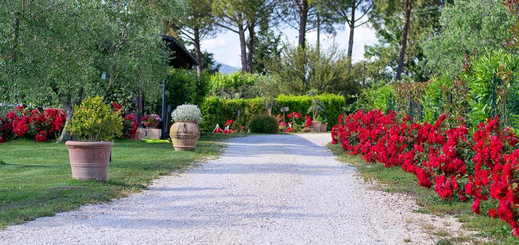 Гостевой дом Poggio Degli Olivi Сатурния Экстерьер фото